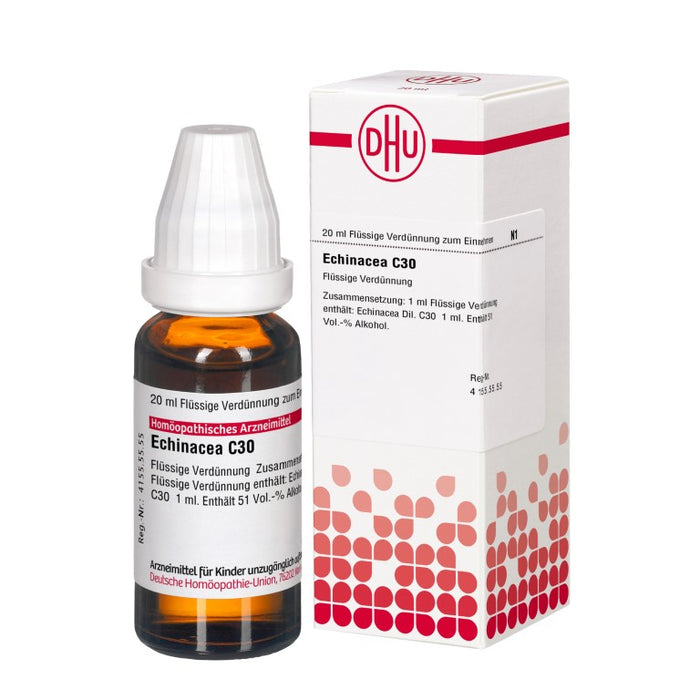 DHU Echinacea HAB C30 Dilution, 20 ml Lösung