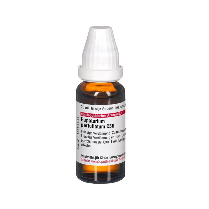 Eupatorium perfoliatum C30 DHU Dilution, 20 ml Lösung