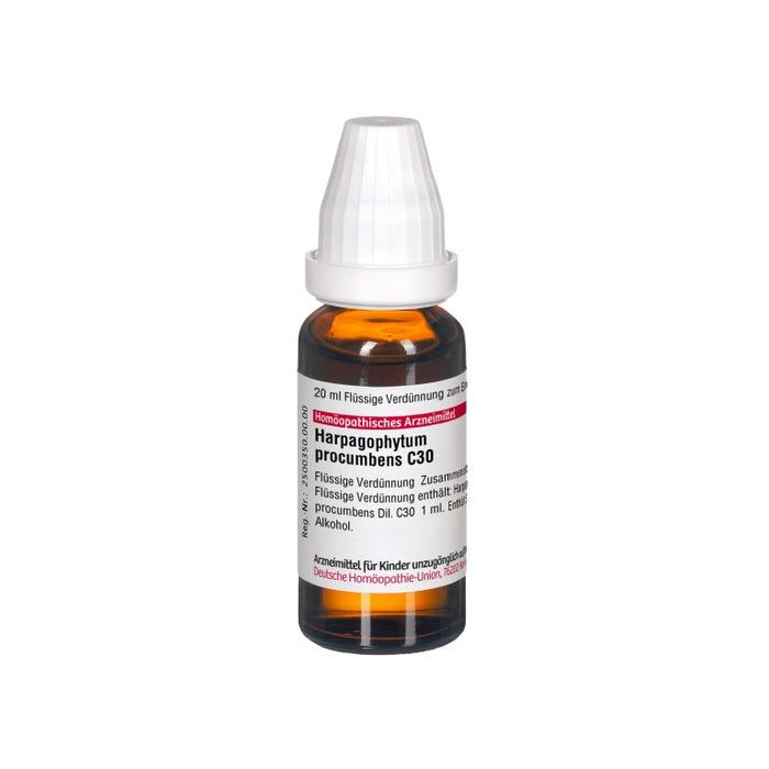 Harpagophytum procumbens C30 DHU Dilution, 20 ml Lösung