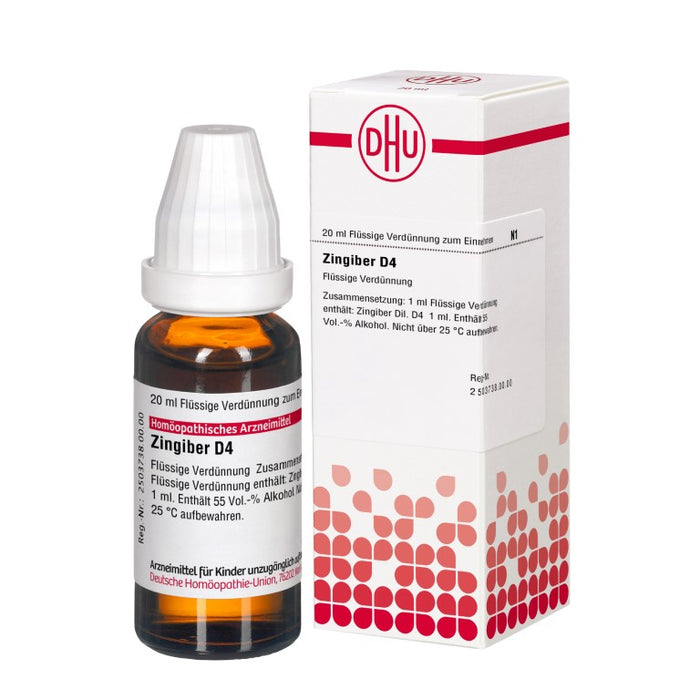 DHU Zingiber D4 Dilution, 20 ml Lösung