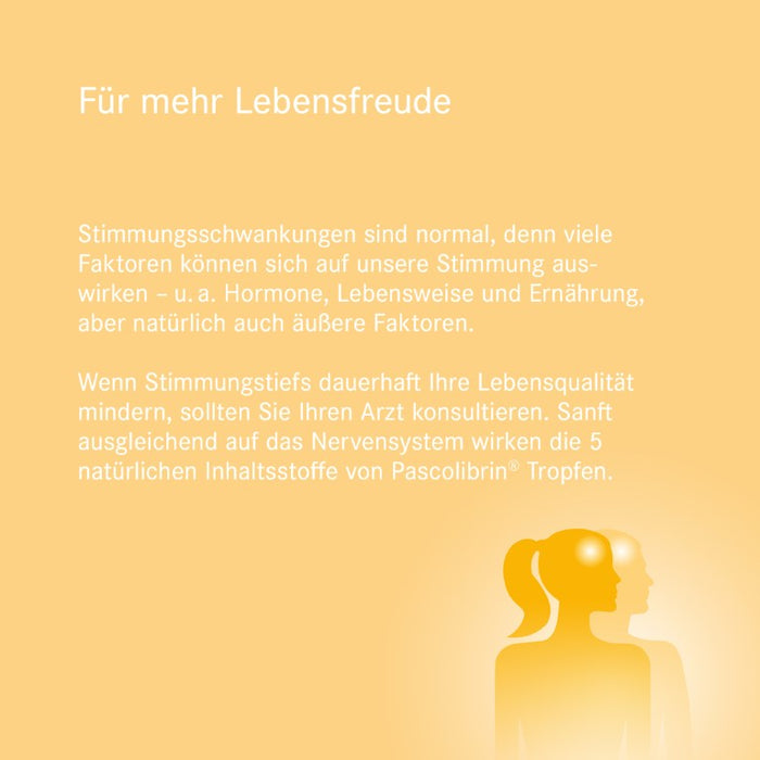 Pascolibrin Tropfen bei Verstimmungszuständen und nervösen Störungen, 50 ml Lösung