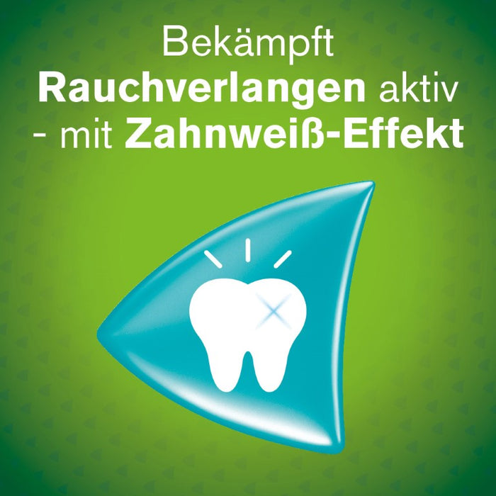 nicorette 2 mg whitemint Kaugummi für Raucher, 105 St. Kaugummi