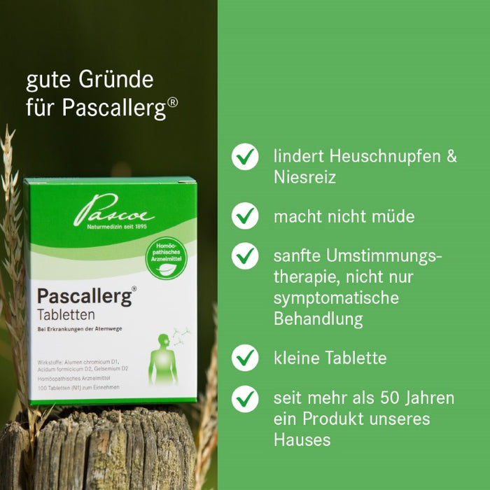 Pascallerg Tabletten  bei Erkrankungen der Atemwege, 100 St. Tabletten