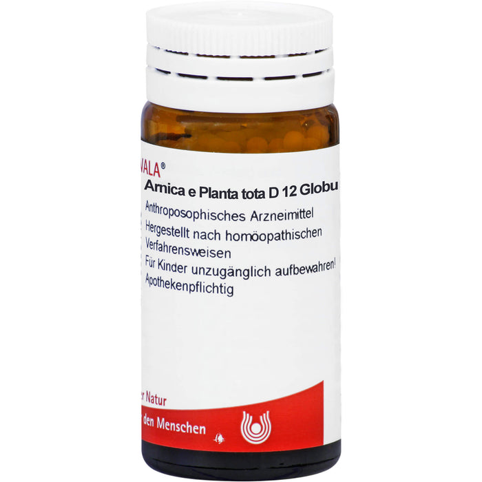 WALA Arnica e planta tota D 12 Globuli, 20 g Globules