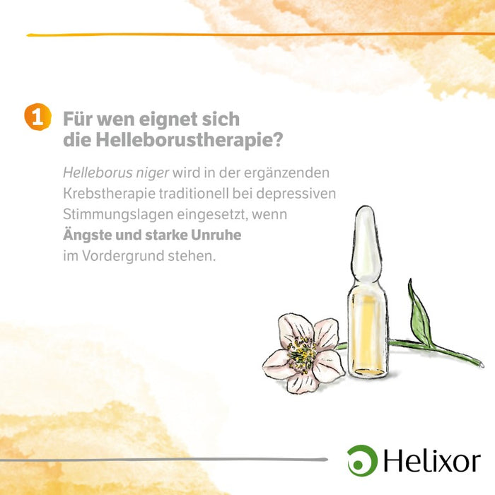 Helleborus niger D 5 aquos., 50 pcs. Ampoules