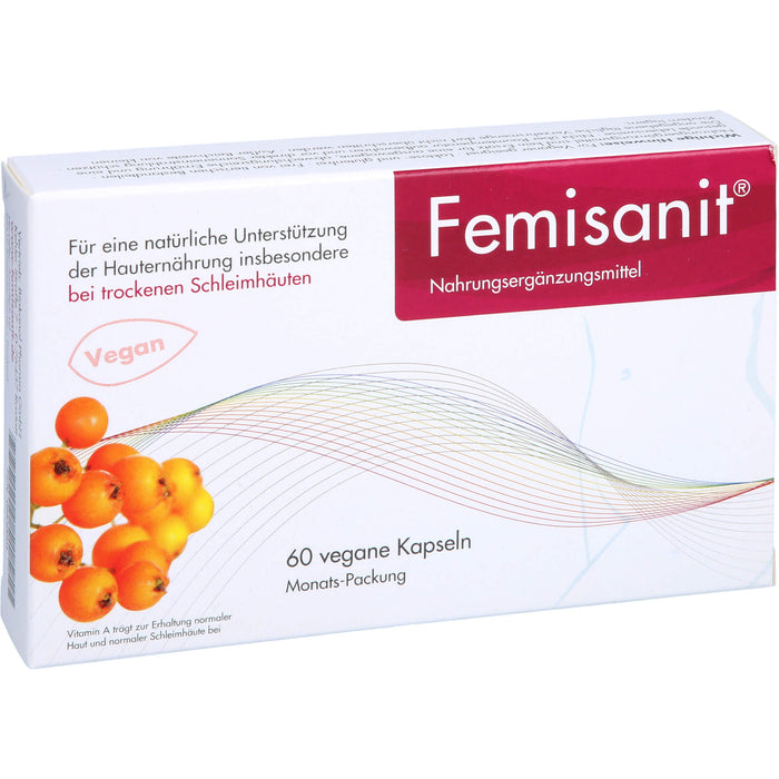 Femisanit Kapseln, 60 pc Capsules