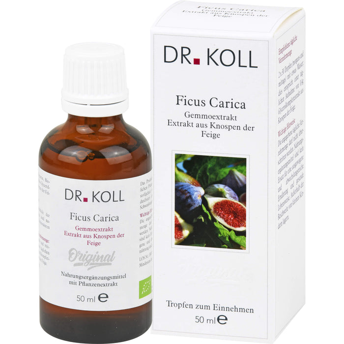 DR. KOLL Ficus Carica Gemmoextrakt Tropfen, 50 ml Solution