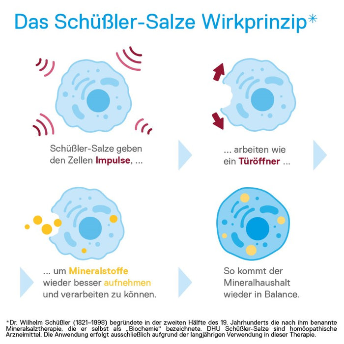 DHU Schüßler-Salz Nr. 8 Natrium chloratum D12 – Das Mineralsalz des Flüssigkeitshaushalts – das Original – umweltfreundlich im Arzneiglas, 200 pcs. Tablets