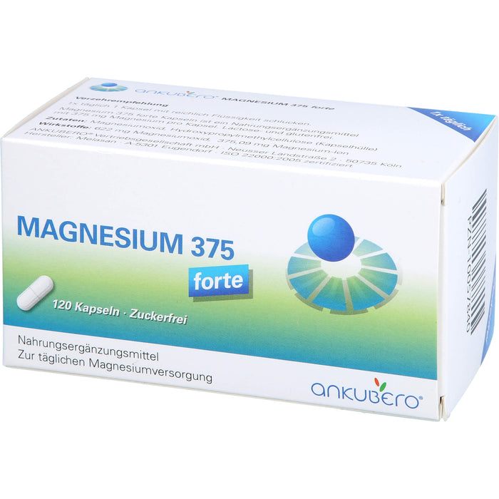 Magnesium 375 Forte, 120 St KAP