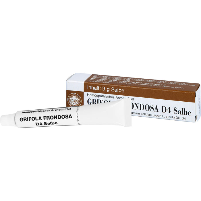 Grifola frondosa D4 Salbe, 9 g Ointment