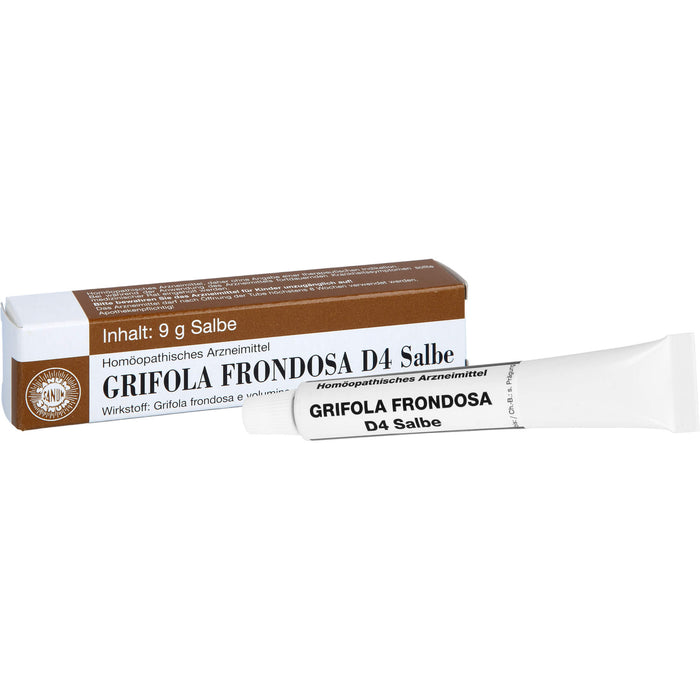 Grifola frondosa D4 Salbe, 9 g Onguent