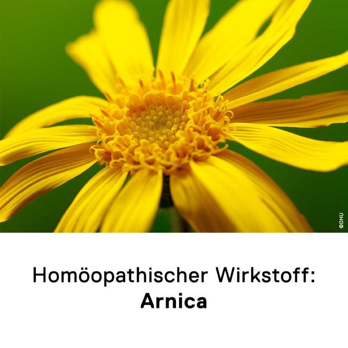 DHU Arnica 1 + 1 Set, 10 g Streukügelchen und 25 g Salbe, 1 pc Paquet combiné