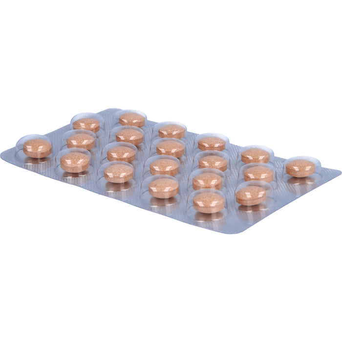 SanFerin Tabletten  stärkt auf natürliche Weise das Immunsystem und unterstützt bei der Abwehr von Bakterien, Viren und Pilzen, 40 pc Tablettes