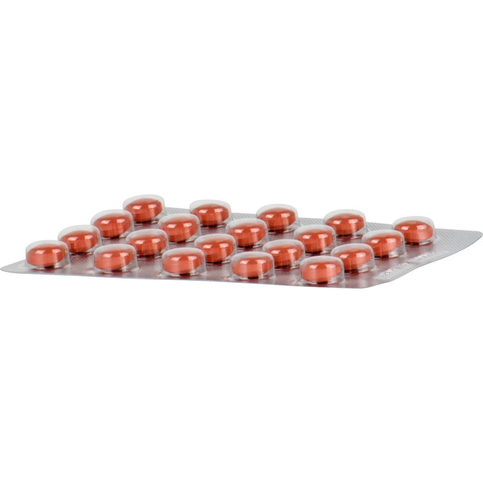 zirkulin Leber-Vital Mariendistel Dragees, 60 pcs. Tablets