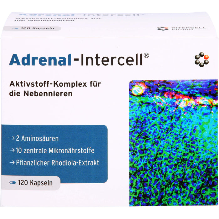 Adrenal-Intercell Aktiv-Komplex für die Nebennieren Kapseln, 120 pc Capsules