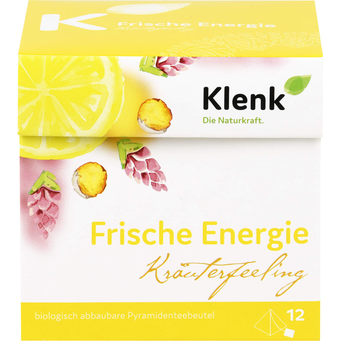 Frische Energie Pyramidenbtl., 12X2.5 g TEE