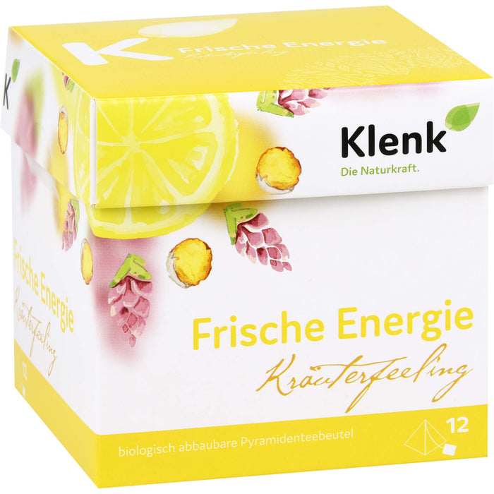 Frische Energie Pyramidenbtl., 12X2.5 g TEE