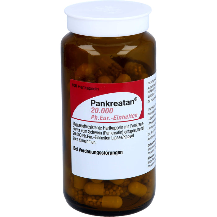 Pankreatan 20.000 Ph.Eur.-Einheiten Hartkapseln, 100 pc Capsules