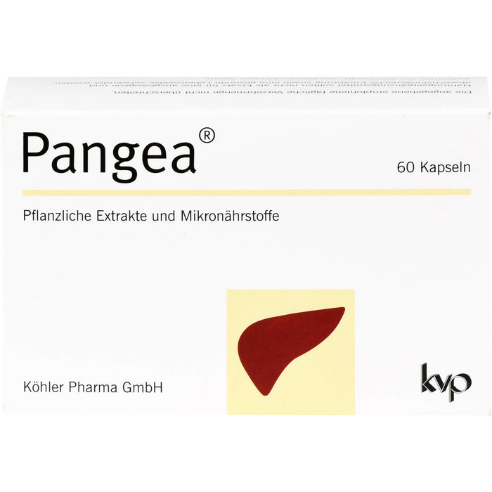 Pangea, 60 St KAP