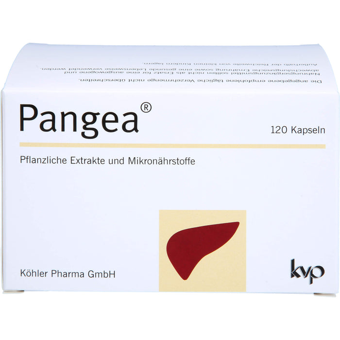 Pangea, 120 St KAP