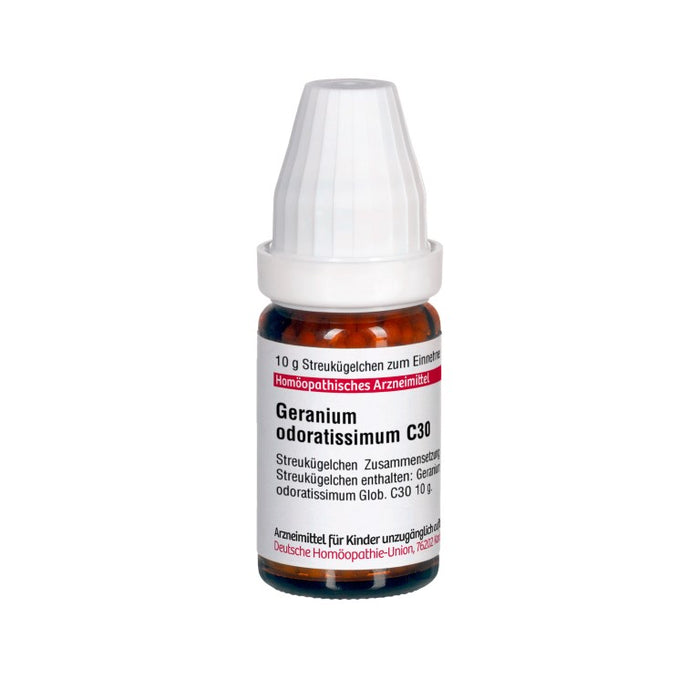 Geranium odoratissimum C30 DHU Globuli, 10 g GLO