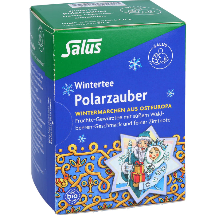 Polarzauber Früchte-Gewürztee bio Salus, 15 St FBE