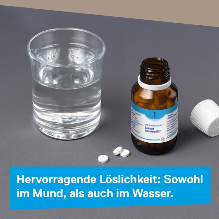 DHU Schüßler-Salz Nr. 1 Calcium fluoratum D12 – Das Mineralsalz des Bindegewebes, der Gelenke und Haut – das Original – umweltfreundlich im Arzneiglas, 200 St. Tabletten