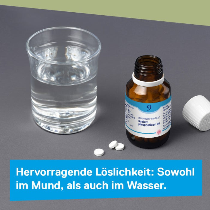 DHU Schüßler-Salz Nr. 9 Natrium phosphoricum D3 – Das Mineralsalz des Stoffwechsels – das Original – umweltfreundlich im Arzneiglas, 200 pcs. Tablets