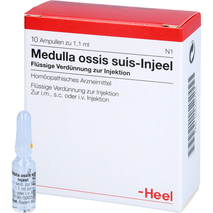 Heel Medulla ossis suis-Injeel flüssige Verdünnung zur Injektion, 10 pc Ampoules