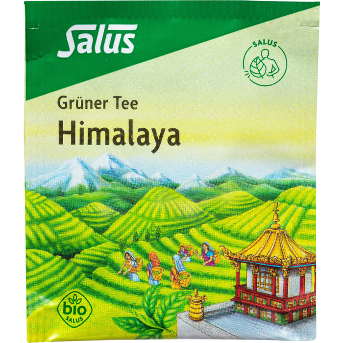 Grüner Tee Himalaya bio Salus, 15 St FBE