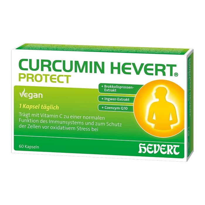 Curcumin Hevert Protect 60 Kapseln, 60 pcs. Capsules