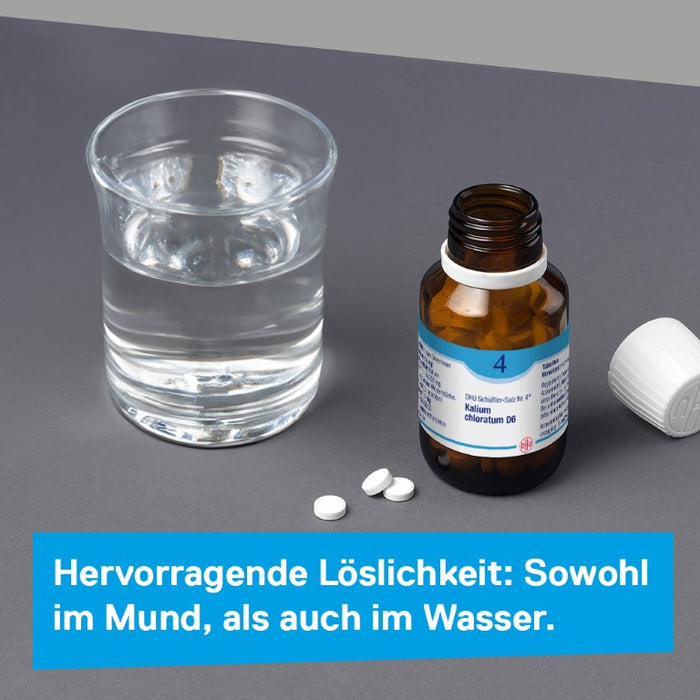 DHU Schüßler-Salz Nr. 4 Kalium chloratum D12 – Das Mineralsalz der Schleimhäute – das Original – umweltfreundlich im Arzneiglas, 900 St. Tabletten