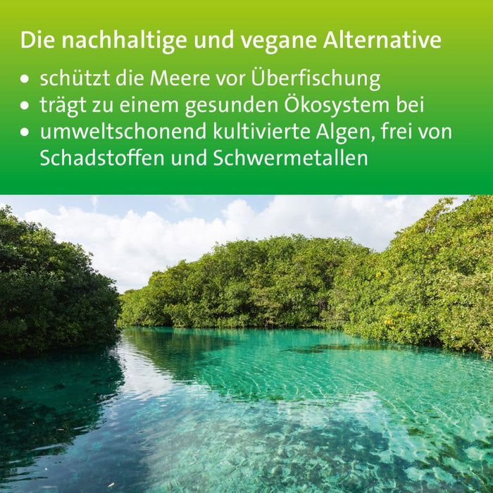 Omega-3 Hevert pflanzlich für eine gesunde Herzfunktion, Gehirnleistung und Sehkraft, 120 St. Kapseln