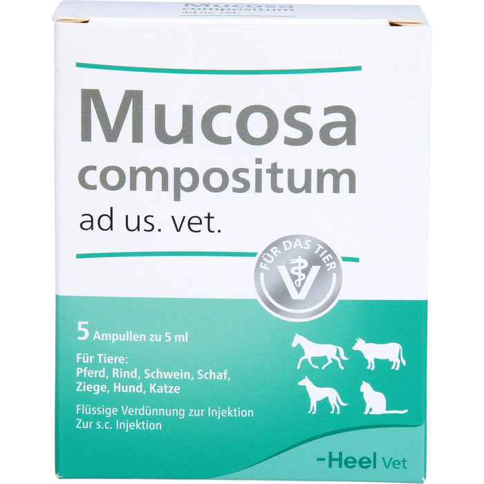 Heel Mucosa compositum ad us. vet. Ampullen, 5 St. Ampullen