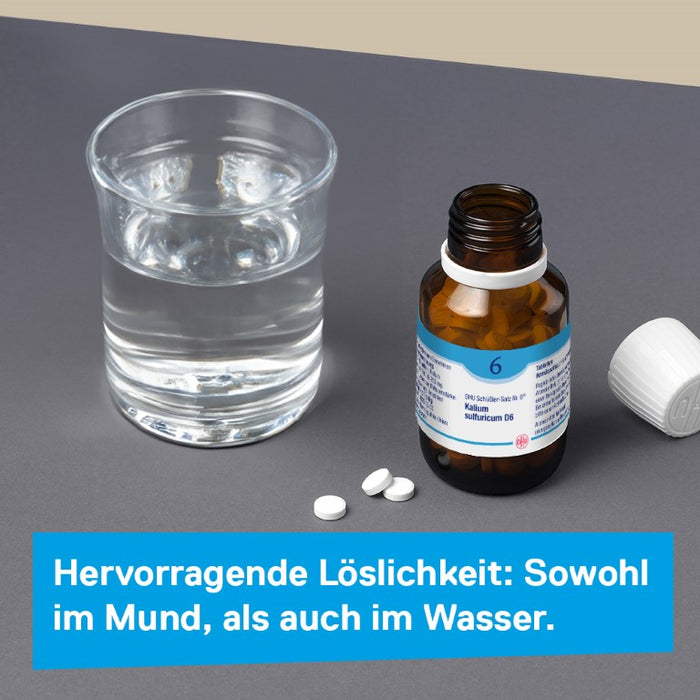 DHU Schüßler-Salz Nr. 6 Kalium sulfuricum D12 – Das Mineralsalz der Entschlackung – das Original – umweltfreundlich im Arzneiglas, 200 pc Tablettes