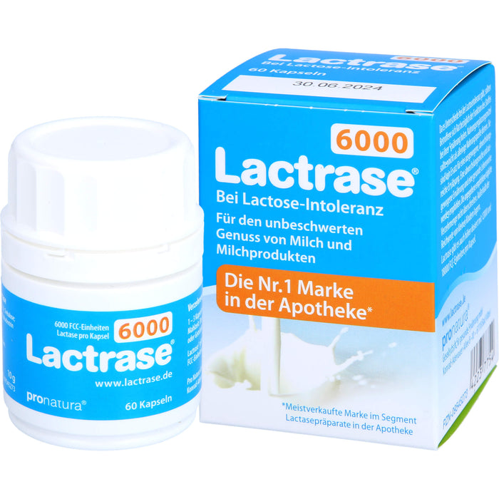 Lactrase 6000 FCC, 60 St KAP