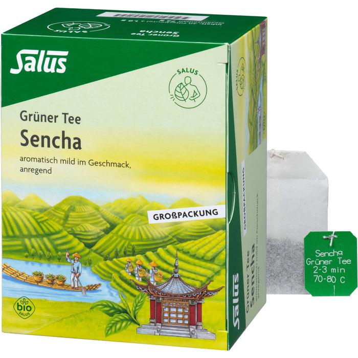 Grüner Tee Grosspackung bio Salus, 40 St FBE