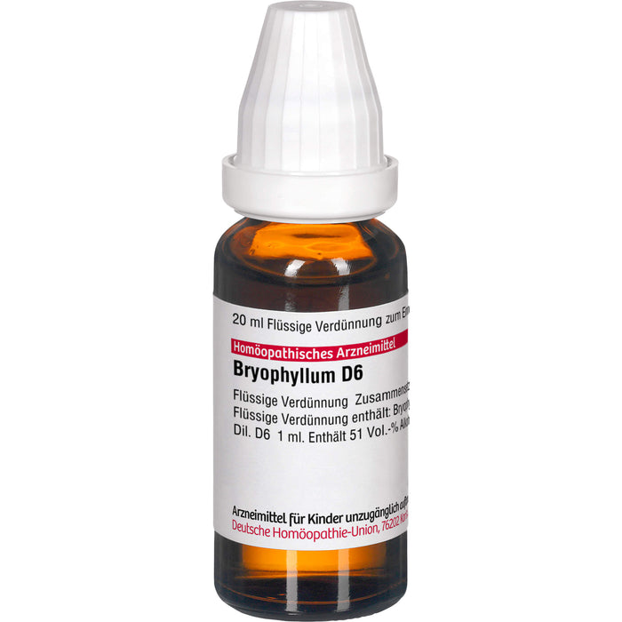 Bryophyllum D6 DHU Dilution, 20 ml DIL