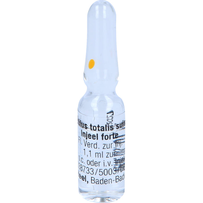 Oculus totalis suis-Injeel forte Ampullen, 10 pcs. Ampoules