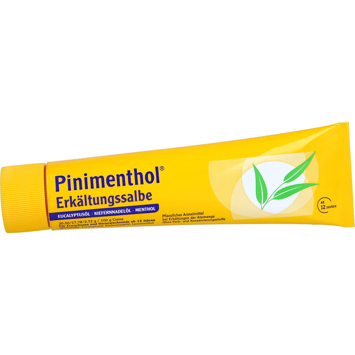 Pinimenthol Erkältungssalbe, 100 g Creme