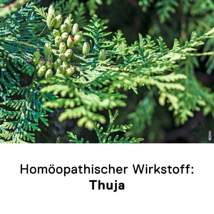 DHU Thuja C30 Streukügelchen, 10 g Globules