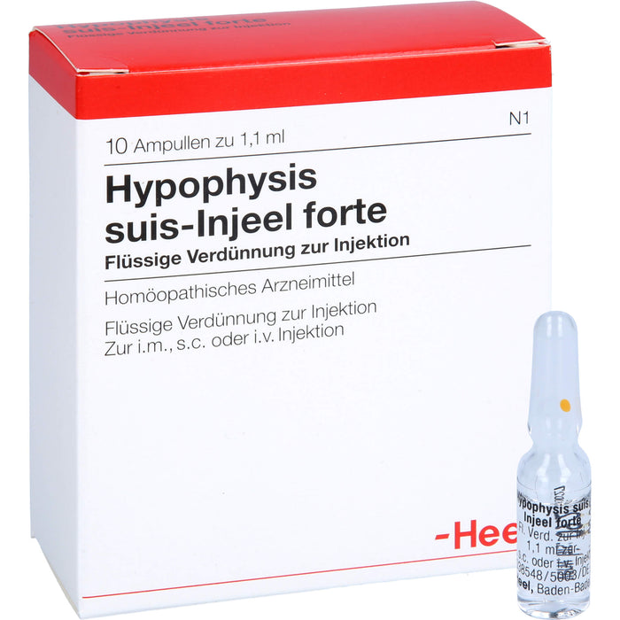 Hypophysis suis-Injeel forte Ampullen, 10 St. Ampullen