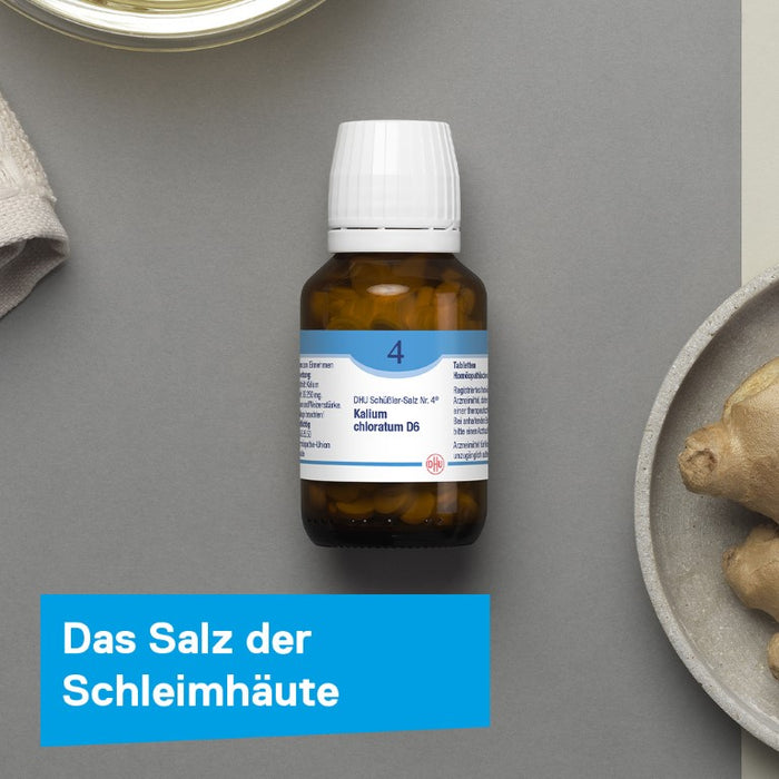 DHU Schüßler-Salz Nr. 4 Kalium chloratum D6 – Das Mineralsalz der Schleimhäute – das Original – umweltfreundlich im Arzneiglas, 900 St. Tabletten