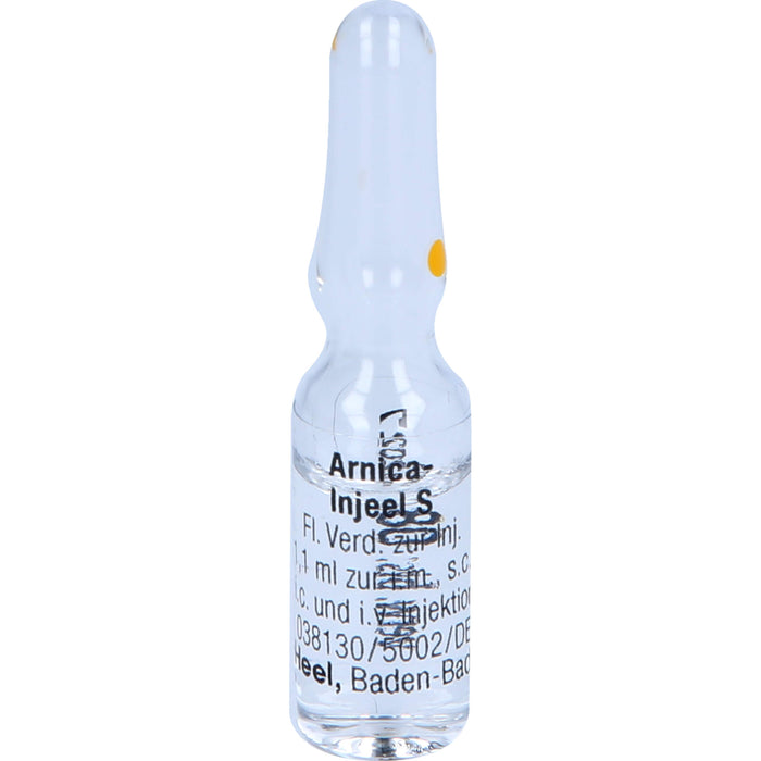 Arnica-Injeel S Inj.-Lsg., 10 St. Ampullen